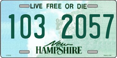 NH license plate 1032057