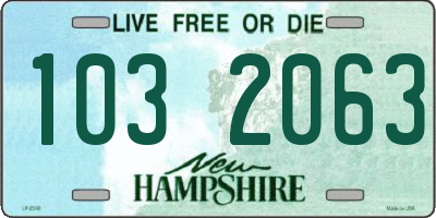 NH license plate 1032063