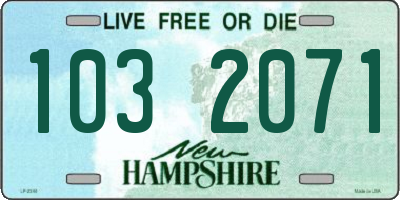 NH license plate 1032071