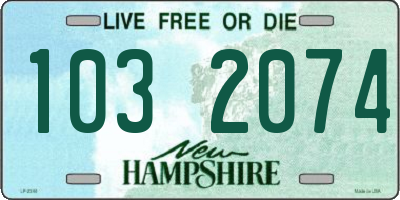 NH license plate 1032074