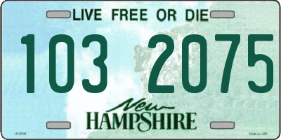 NH license plate 1032075