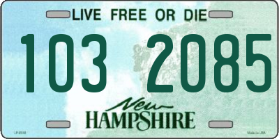 NH license plate 1032085