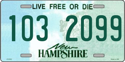 NH license plate 1032099