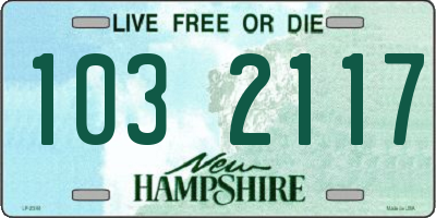 NH license plate 1032117