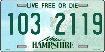 NH license plate 1032119