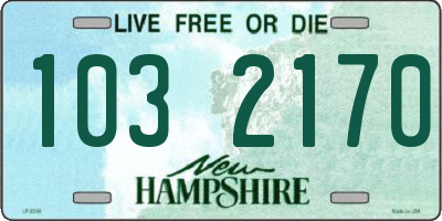 NH license plate 1032170