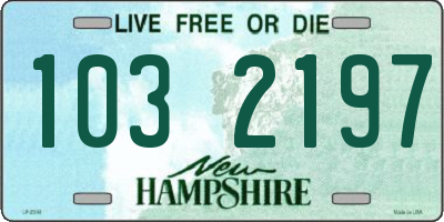 NH license plate 1032197