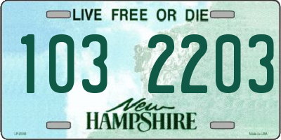 NH license plate 1032203