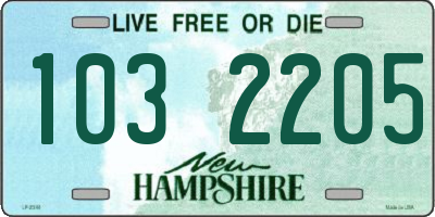 NH license plate 1032205
