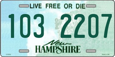 NH license plate 1032207