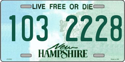 NH license plate 1032228