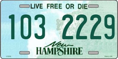 NH license plate 1032229