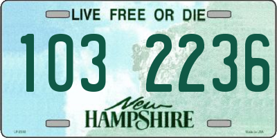 NH license plate 1032236