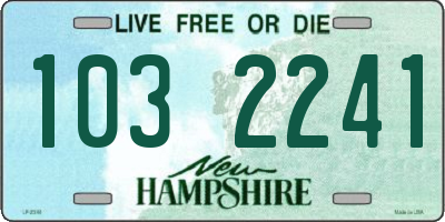 NH license plate 1032241