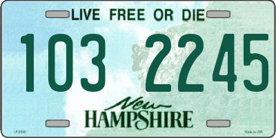 NH license plate 1032245