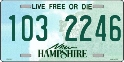NH license plate 1032246