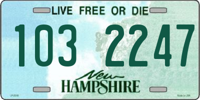 NH license plate 1032247