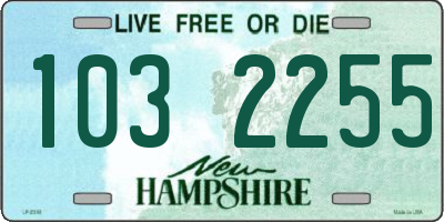 NH license plate 1032255