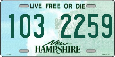 NH license plate 1032259