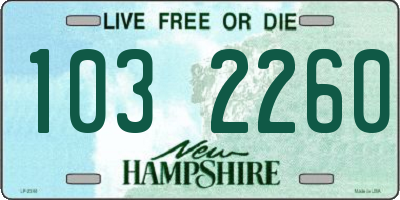 NH license plate 1032260