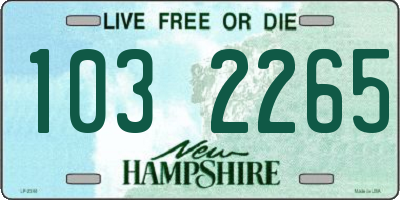 NH license plate 1032265