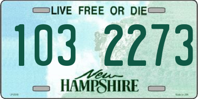NH license plate 1032273