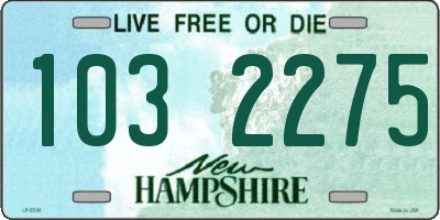 NH license plate 1032275