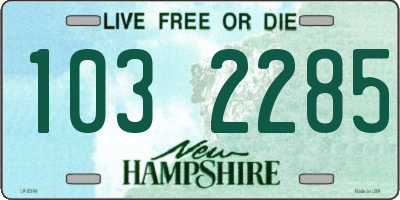 NH license plate 1032285