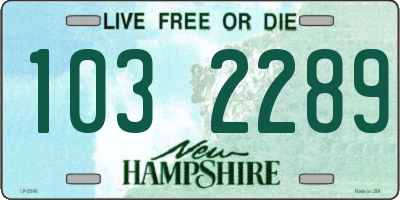 NH license plate 1032289