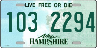 NH license plate 1032294