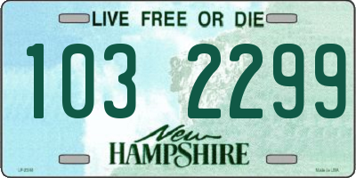 NH license plate 1032299
