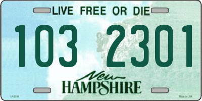 NH license plate 1032301
