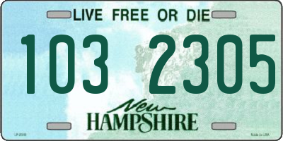 NH license plate 1032305