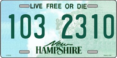 NH license plate 1032310