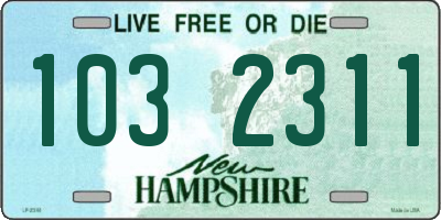 NH license plate 1032311