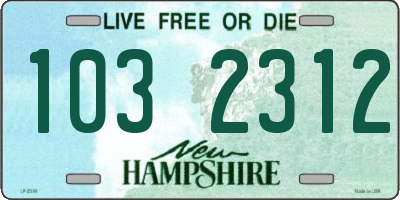 NH license plate 1032312