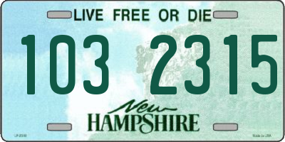 NH license plate 1032315