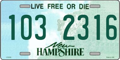 NH license plate 1032316