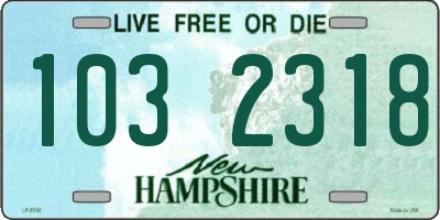 NH license plate 1032318