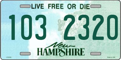 NH license plate 1032320
