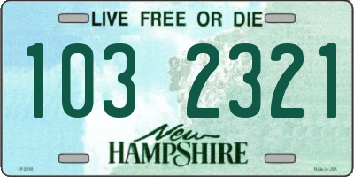 NH license plate 1032321