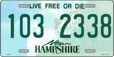 NH license plate 1032338