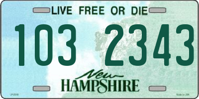 NH license plate 1032343