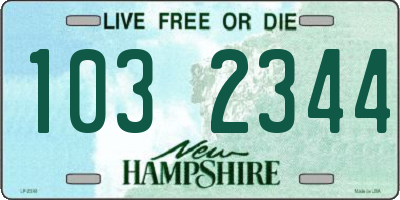NH license plate 1032344