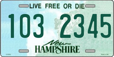 NH license plate 1032345