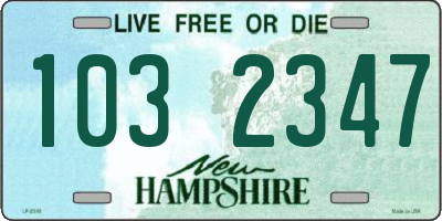 NH license plate 1032347