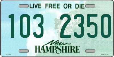 NH license plate 1032350