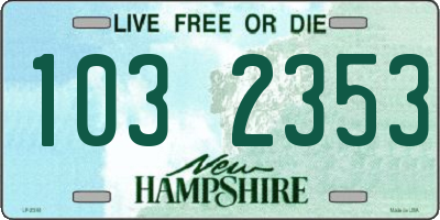 NH license plate 1032353