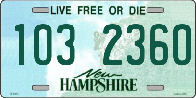NH license plate 1032360