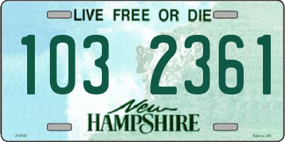 NH license plate 1032361